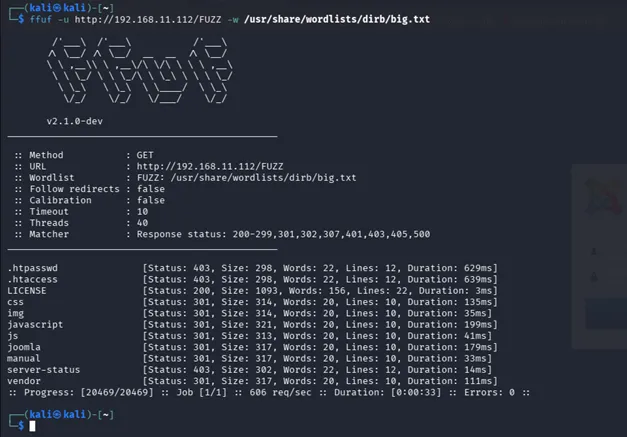 ffuf directory fuzzing results